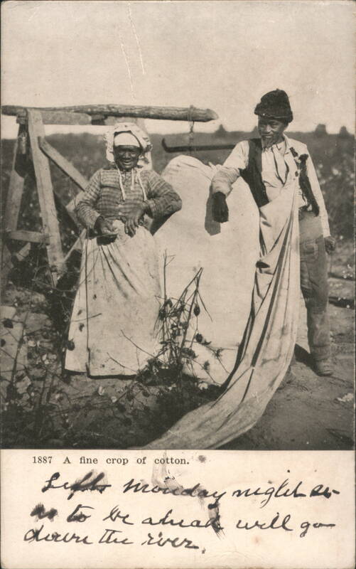 A Fine Crop of Cotton, Black Couple with Cotton Scale