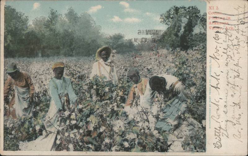 Cotton Picking in Arkansas Valley, Ark. Workers in Field