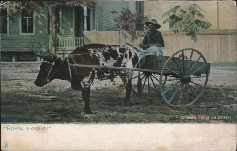 Rapid Transit Woman Driving Ox Cart, The Sunny South