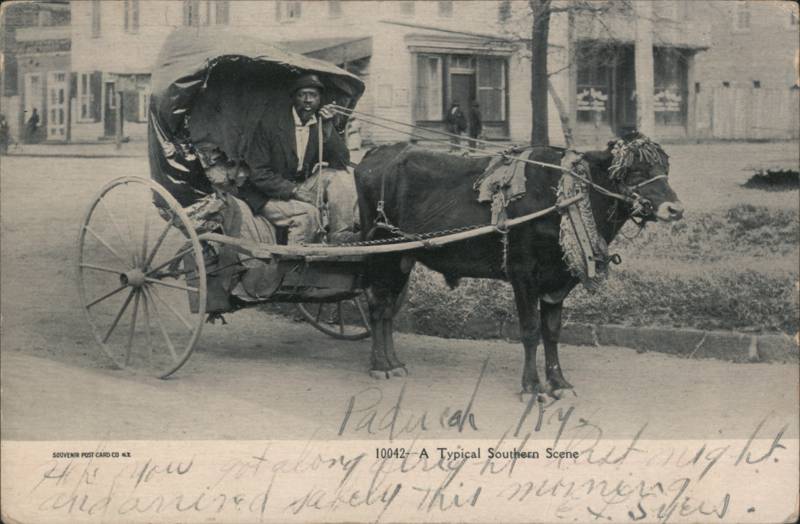 Black Man in Ox-Drawn Buggy, A Typical Southern Scene