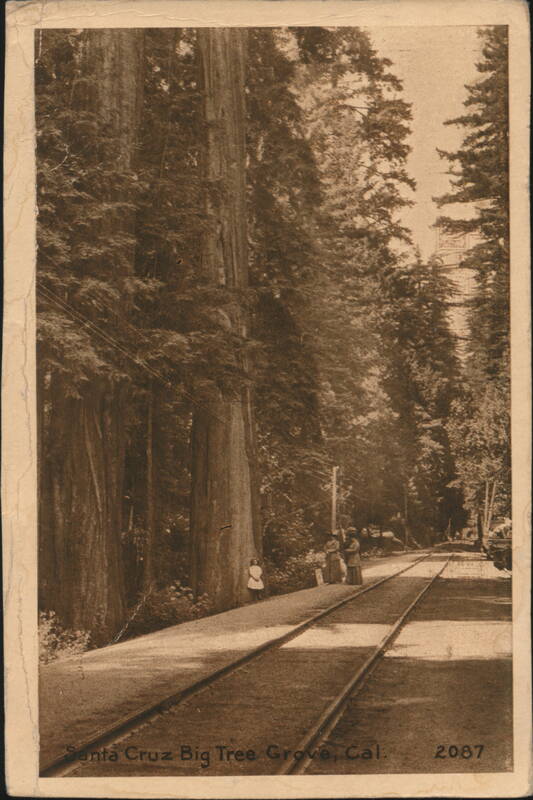 Santa Cruz Big Tree Grove, Railroad Tracks