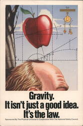 Gravity. It Isn't Just a Good Idea. It's the Law Postcard