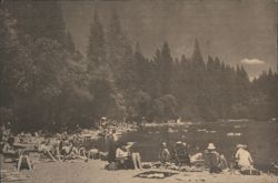 Beach Scene and Sunbathers at Twain Harte Lake Postcard