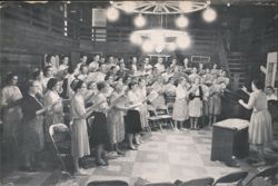 Laurelville Mennonite Camp Music Conference Chorus Postcard