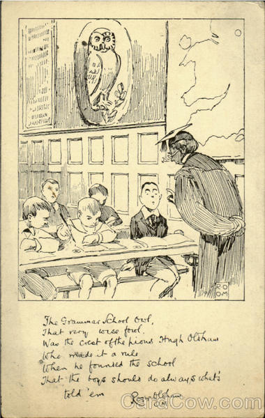 Grammar School Owl Birds