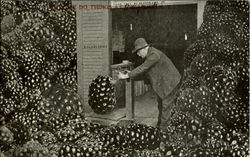 Blackberries Postcard