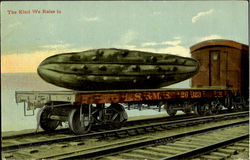 Cucumber Postcard