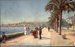 Boulevard De La Croisette Cannes, France Postcard Postcard
