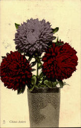 China-Aster Postcard