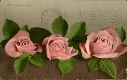 Panel Of Roses Flowers Postcard Postcard