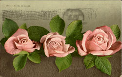 Panel Of Roses Postcard