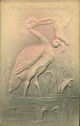 Hearty Congratulations Postcard