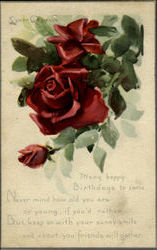 Roses Flowers Postcard Postcard