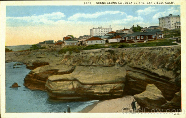 Scene Along La Jolla Cliffs San Diego California