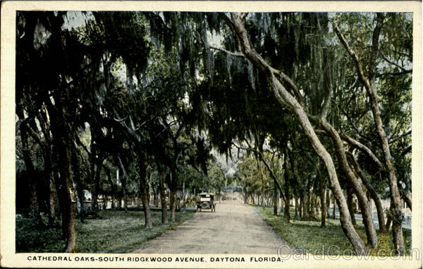 Cathedral Oaks, South Ridgewood Avenue Daytona Beach Florida