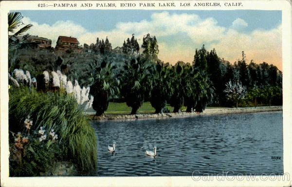 Pampas And Palms, Echo Park Lake Los Angeles California