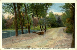 Government Trout Propagation Pond, Elk Creek Lake Eau Claire, WI Postcard Postcard