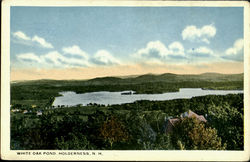 White Oak Pond Postcard