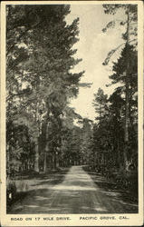 Road On 17 Mile Drive Postcard