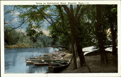 Scene On Cottonwood River Scene On Cottonwood River