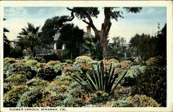 Flower Garden Postcard