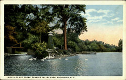 Mouth Of Red Creek, Genesee Valley Park Postcard