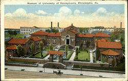Museum Of University Of Pennsylvania Postcard