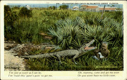 Alligator And Child In Palmetto Grove Scenic, FL Postcard Postcard