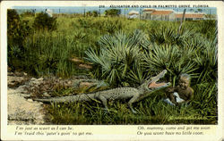 Alligator And Child In Palmetto Grove Postcard