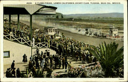 A Close Finish Lower California Jockey Club Tijuana, Mexico Postcard Postcard