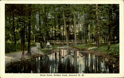 Duck Pond, Rollins Park Concord, NH Postcard Postcard