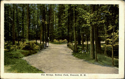The Bridge, Rollins Park Postcard