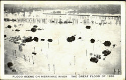 Flood Scene On Merrimac River Disasters Postcard Postcard