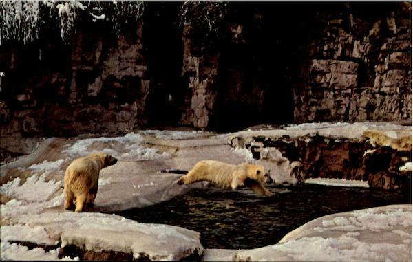 Zoological Garden, Forest Park St. Louis Missouri