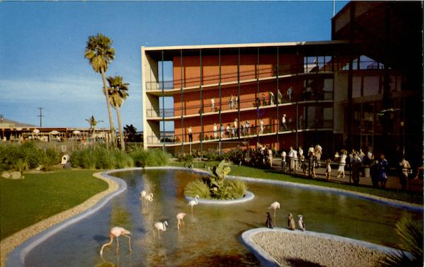 Flamingo And Penguin Pool Los Angeles California