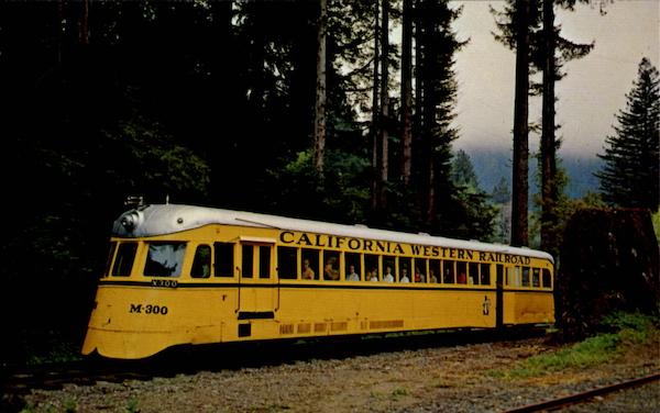 The Skunk Trains, Railroad