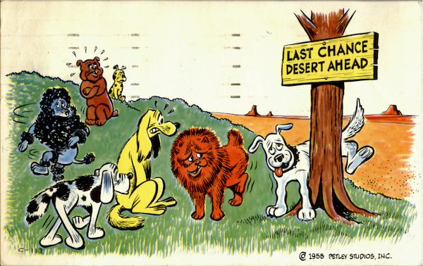 Last Chance Desert Ahead Dogs