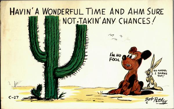 Havin A Wonderful Time Dogs