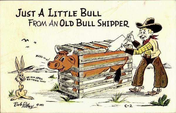 Bull Shipper Comic, Funny