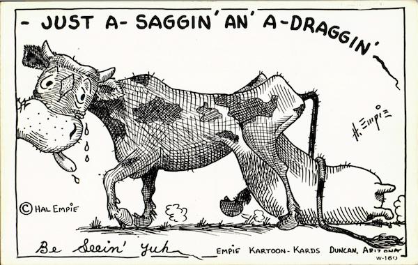 Just a saggin 'an' a-draggin' Cows & Cattle