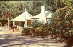 Plantation Club Postcard