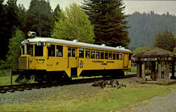 The Skunk Trains, Railroad Postcard Postcard