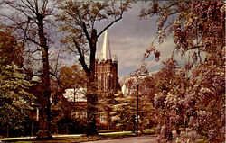 Manning South Carolina Postcard Postcard