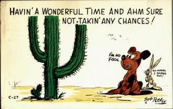 Havin A Wonderful Time Postcard