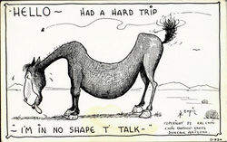 Hello Had A Hard Trip Postcard