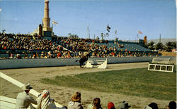 The National Date Festival Postcard