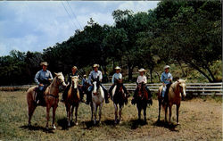 English And Western Style Riding Postcard