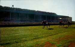 Belmont Park New York Postcard Postcard