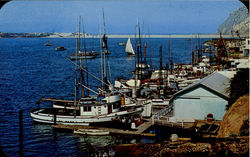 Morro Bay Yacht Anchorage, 201 S. Main St California Postcard Postcard