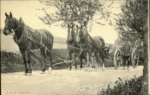Horses & Wagon